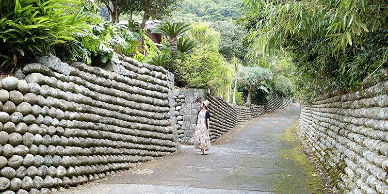 陣屋跡の玉石垣が積み上げられた坂道を歩く