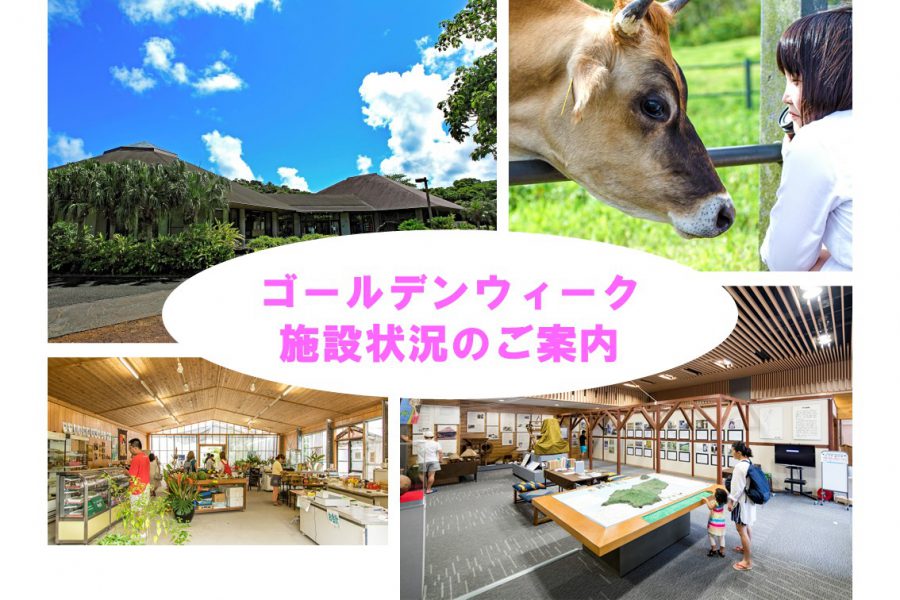 八丈島歴史民俗資料館 常設展示情報 八丈島観光協会 八丈島歴史民俗資料館 常設展示情報 八丈島観光協会
