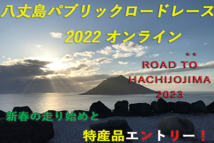 八丈島パブリックロードレース オンライン 2022
