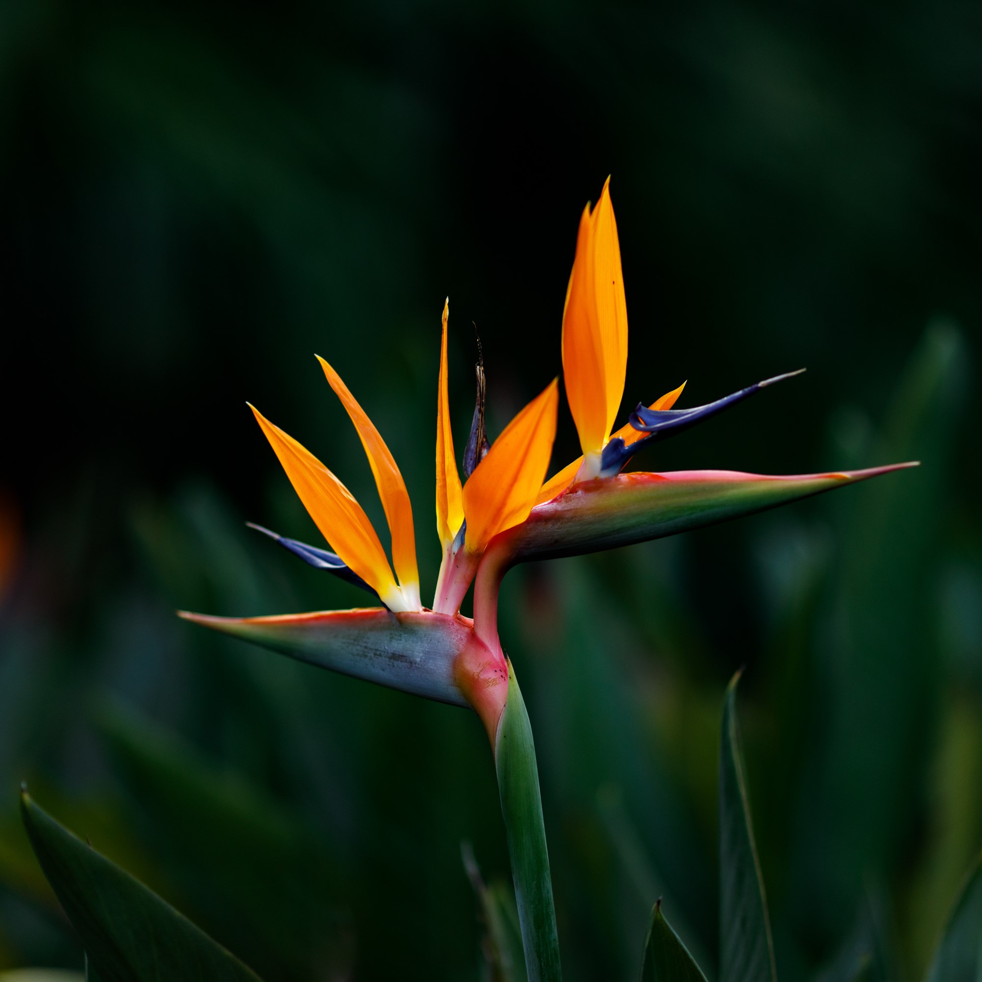 areaGuidePhoto03