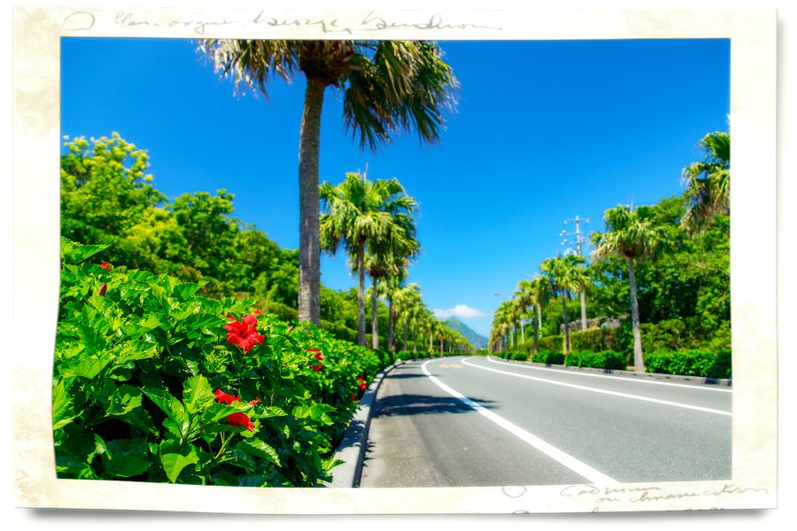 八丈島観光協会　職員募集のご案内