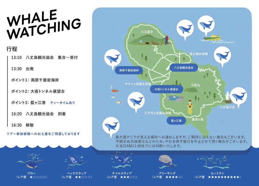 ホエールウォッチング 陸上ツアー参加者募集のご案内 - 八丈島観光協会