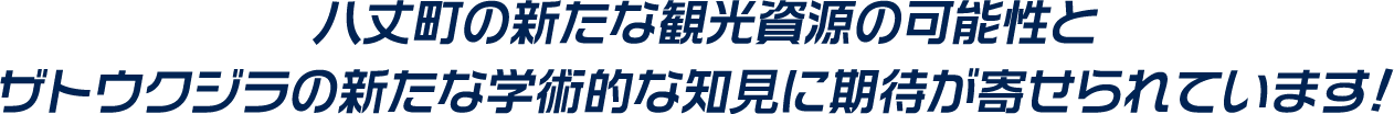 八丈町の新たな観光資源の可能性とザトウクジラの新たな学術的な知見に期待が寄せられています!