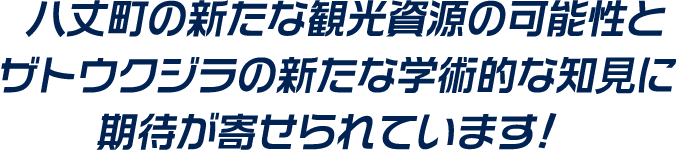 八丈町の新たな観光資源の可能性とザトウクジラの新たな学術的な知見に期待が寄せられています!