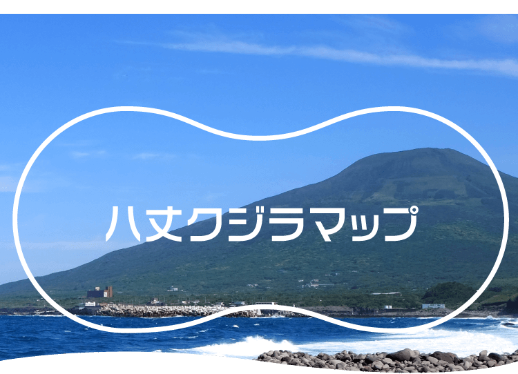 八丈島ホエールウォッチング