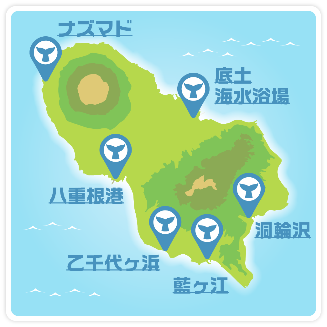 八丈クジラライブマップ