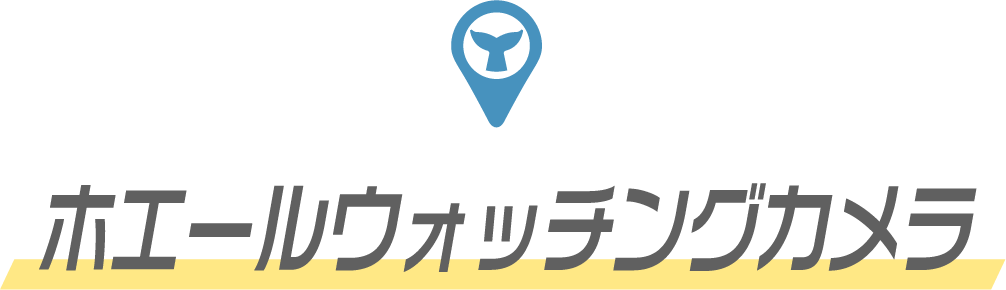 ホエールウォッチングカメラ