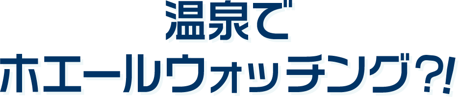 温泉でホエールウォッチング？!