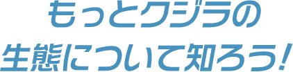 もっとクジラの生態について知ろう!